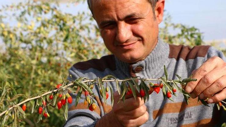Hobi olarak başladılar şimdi talebe yetişemiyor