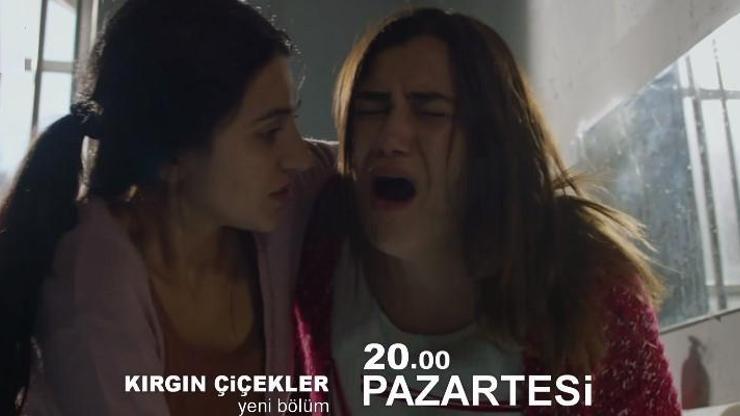 100. bölüm fragmanı Kırgın Çiçekler dizisinin 99. bölümünün ardından yayınlandı