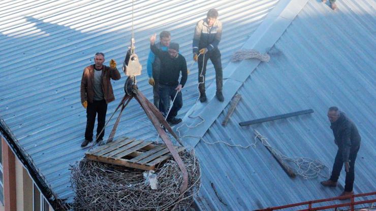 Okulun çatısındaki leylek yuvası vinçle taşındı