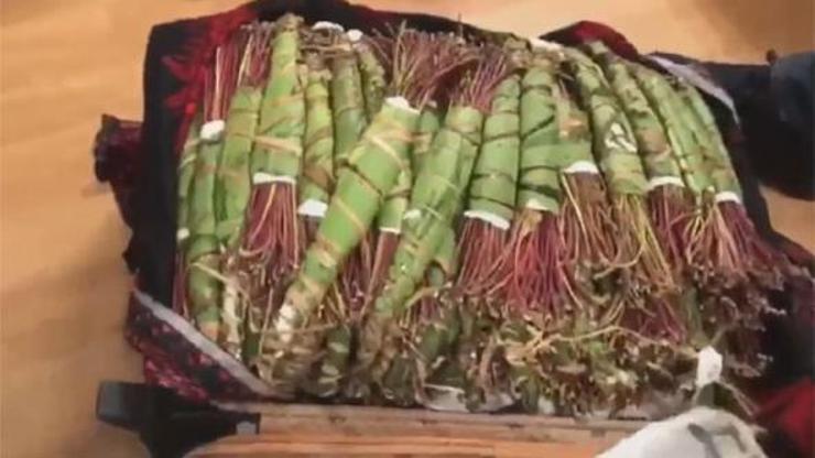 Atatürk Havalimanında 34 kilo Khat yakalandı