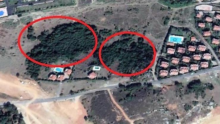 Şilede 20 dönümlük ağaçlık alana TOKİ villa yapacak