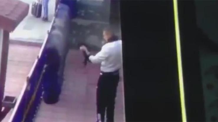 Kediye işkence Anayasa Mahkemesinin gündeminde
