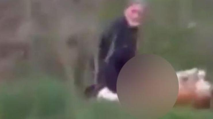 Köpeğe tecavüz eden adamdan skandal savunma: Nefsime yenik düştüm