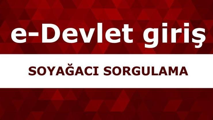 e-Devlet giriş: E Devlet soyağacı (alt-üst soy bilgisi) sorgulama