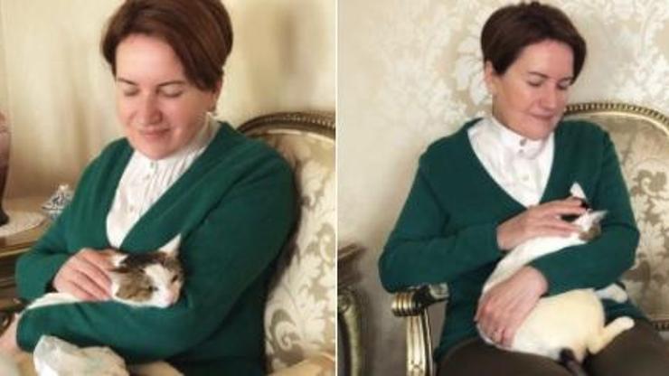 Meral Akşenerden sahiplendiği kediyle fotoğraf