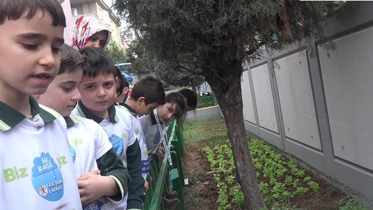 Su Kaşifi öğrenciler yağmur sularını toplayıp, sebze yetiştirdi