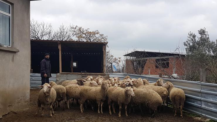 Çanakkalede 43 köy karantinaya alındı