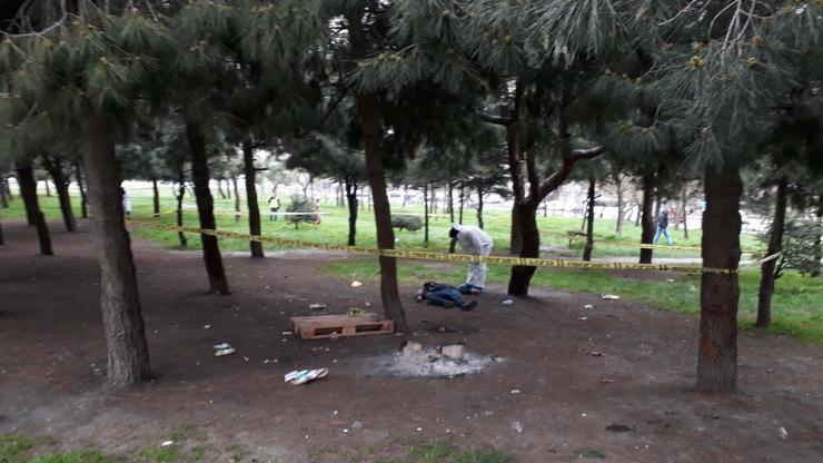 Bağcılarda dehşet Ağaçlık alanda bulundu