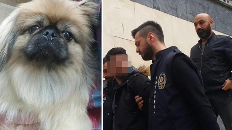 Esenyurtta sahte polis ev sahibini bağlayıp gasbetti