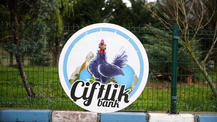 Son dakika... Çiftlik Bank soruşturmasında sıcak gelişme