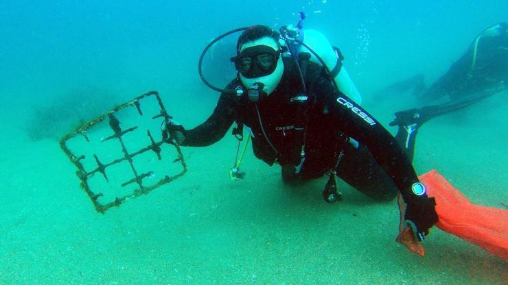 Gündoğan Koyunda deniz dibi temizliği