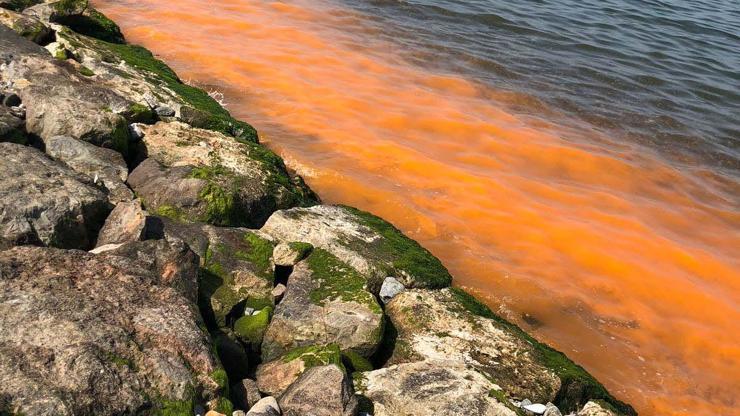 İzmirde deniz suyu kırmızıya dönüştü