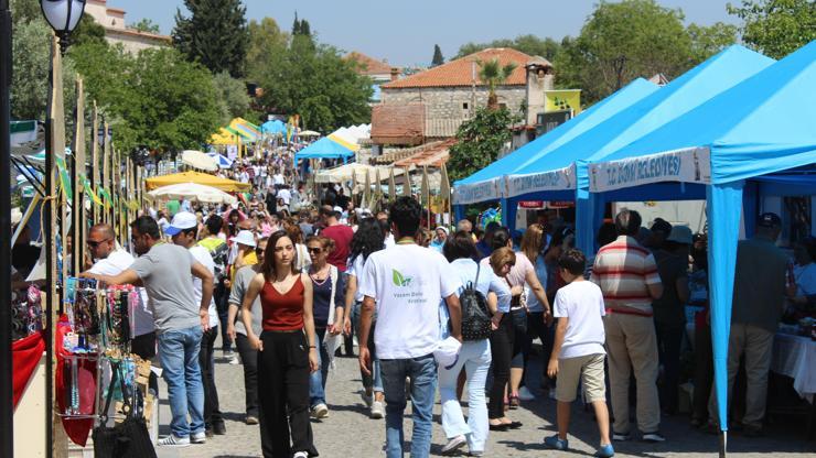 Türkiye’nin ilk ve tek vegan festivali Didim Vegfeste 200 bin kişi bekleniyor