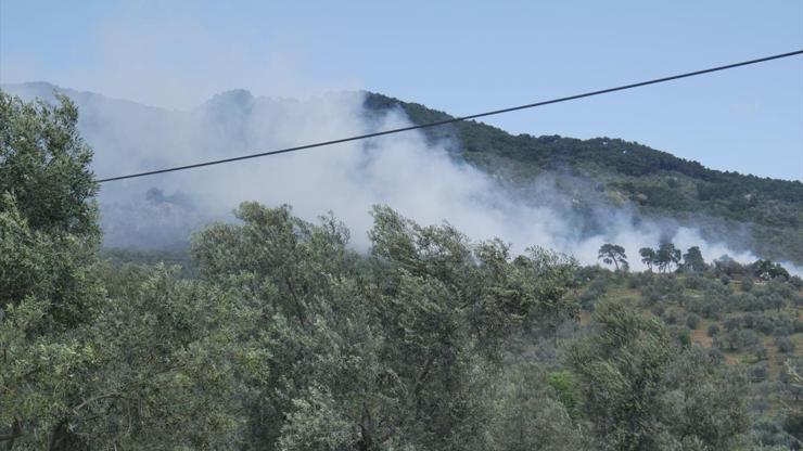 Kazdağlarında yangın: 20 arı kovanı zarar gördü