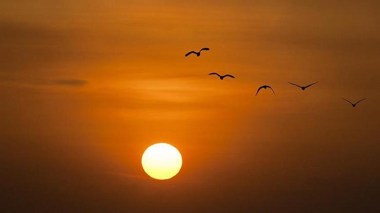 İngiliz şirketten Adıyamana güneş parkı