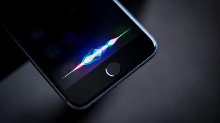 Türkçe Siri davası sonuçlandı