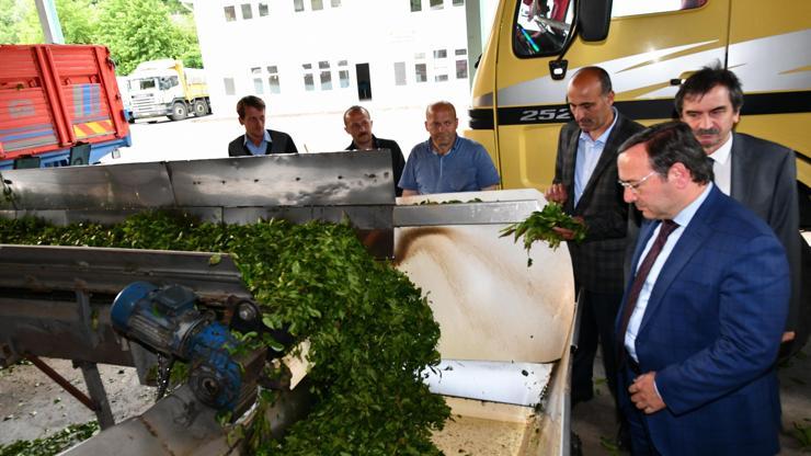 Çaykur Genel Müdür Vekili: Fabrikalarımız tam kapasite çalışıyor