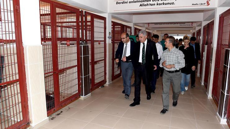Başkan Polat, Hayvan Barınağını inceledi