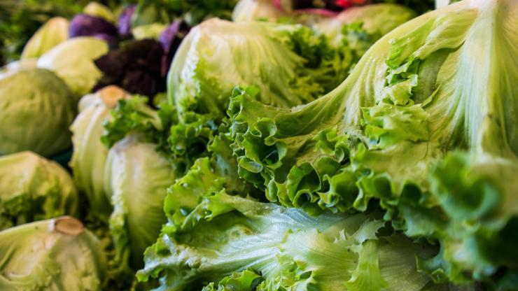 Maruldaki koli basili 5 can aldı