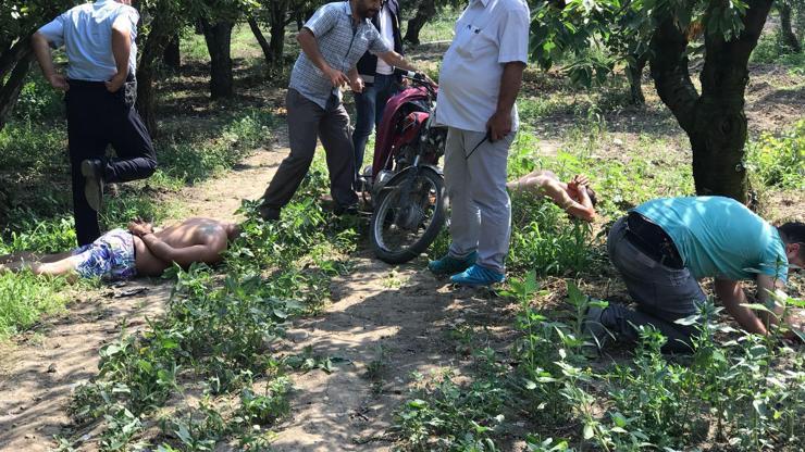 Uyuşturucu satıcıları zeytinlikte yakalandı