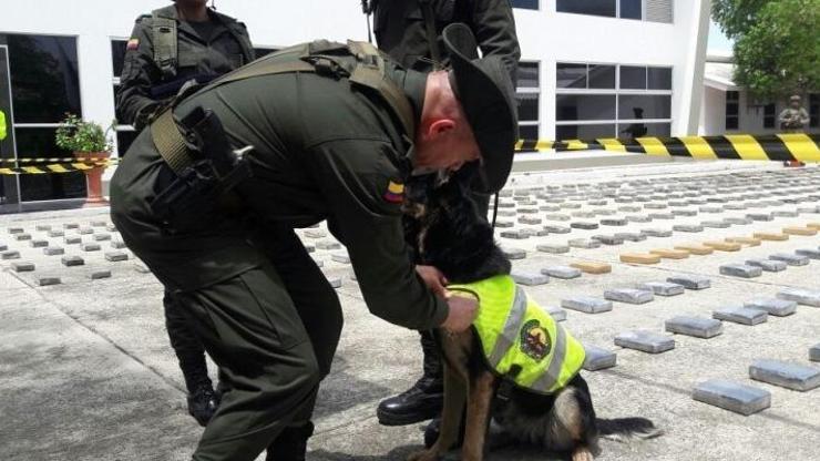 Suç örgütü polis köpeğinin başına para ödülü koydu
