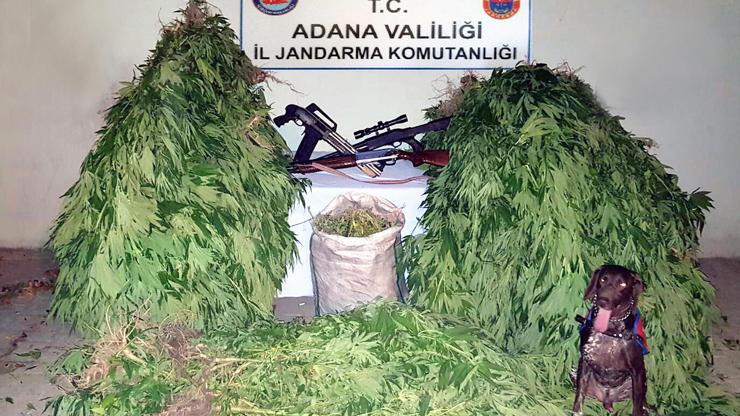 Jandarmadan uyuşturucu tacirine operasyon