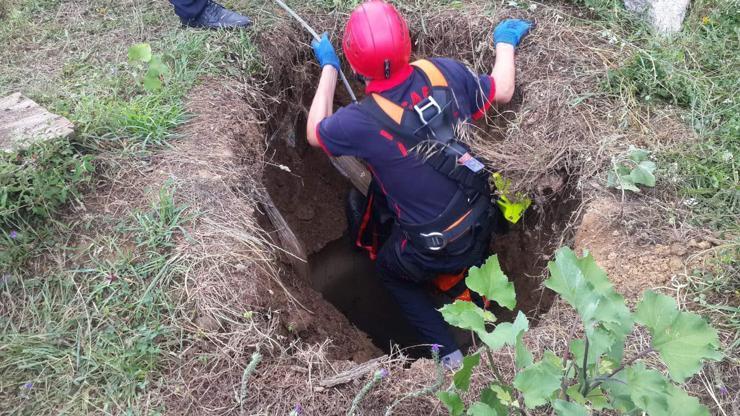 Su kuyusuna düşen koyunu itfaiye kurtardı