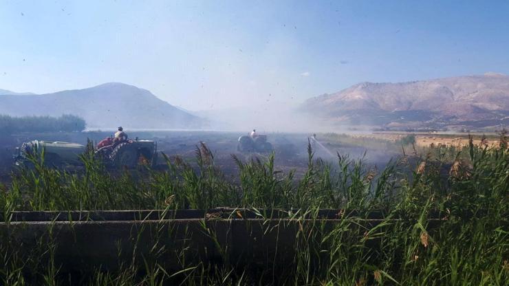 Elmalıda arazi yangını