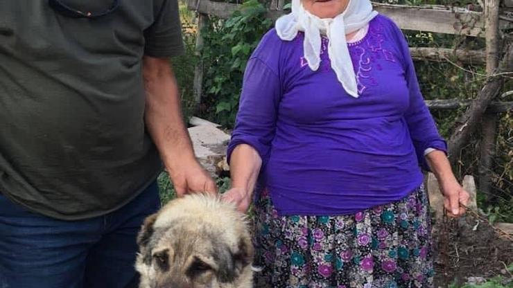 Gözyaşlarıyla tedaviye gönderdiği köpeğini mutlulukla karşıladı