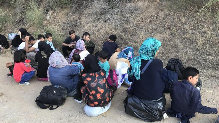 Çanakkalede zeytinliklerde 40 kaçak göçmen yakalandı
