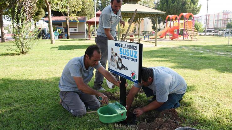 Sokak hayvanları için suluk