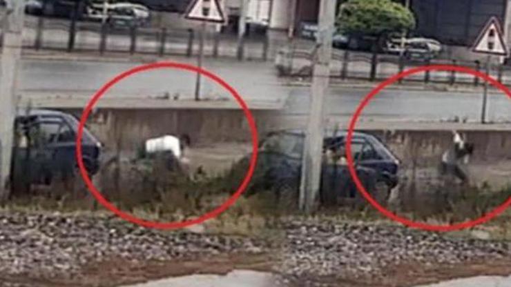 70 yaşındaki adamı darp etmişlerdi İki şüpheli için mahkeme kararını verdi