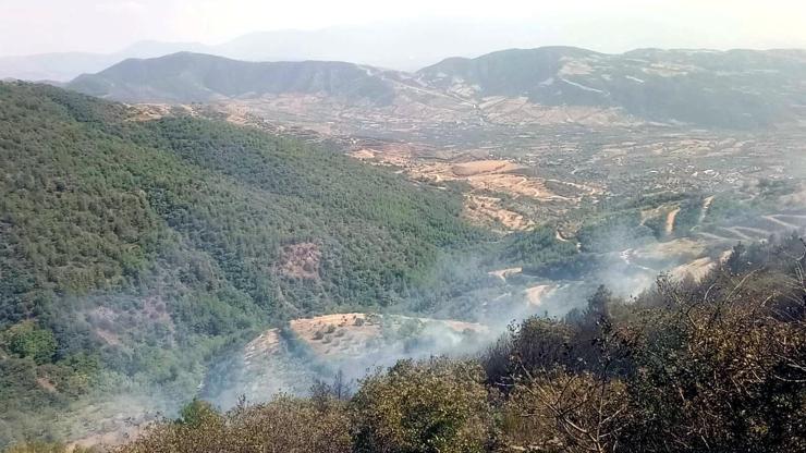 Ödemişte orman yangını