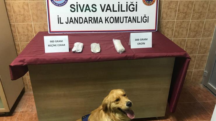Jandarmadan kaçakçılık operasyonları