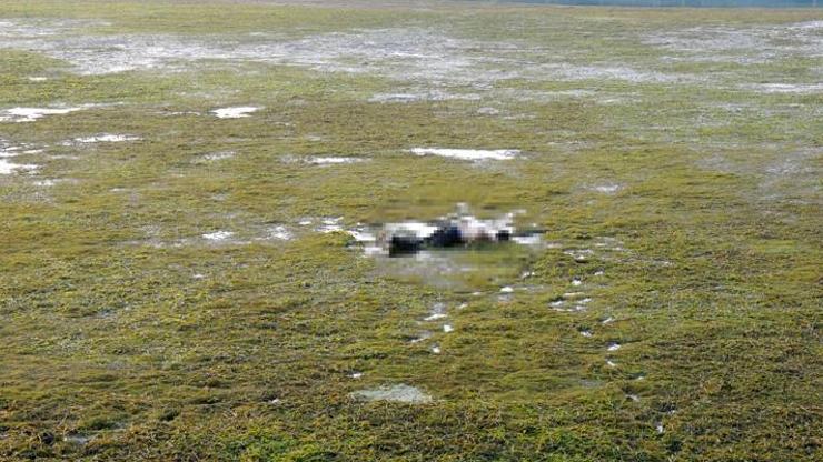Baraj kapakları kapatıldı, cesedi ortaya çıktı