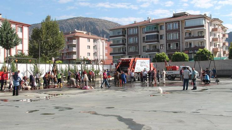 Amasyadan kurban kesimi manzaraları