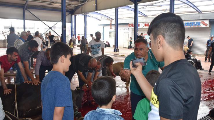 Çorluda kurbanlıklar çocukların gözü önünde kesildi