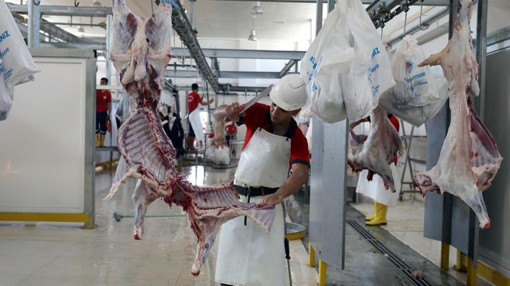 Büyükşehirde bayram hareketli geçti