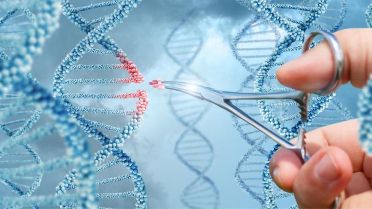 Genetik kodlar İzmirde çözülüyor