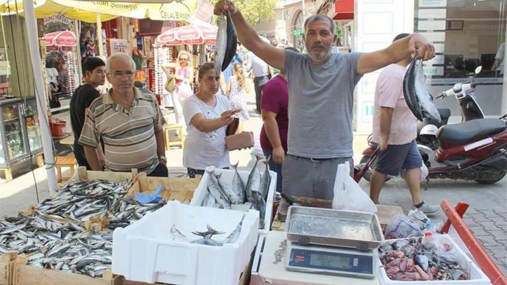 Geliboluda palamut bolluğu yüzleri güldürdü