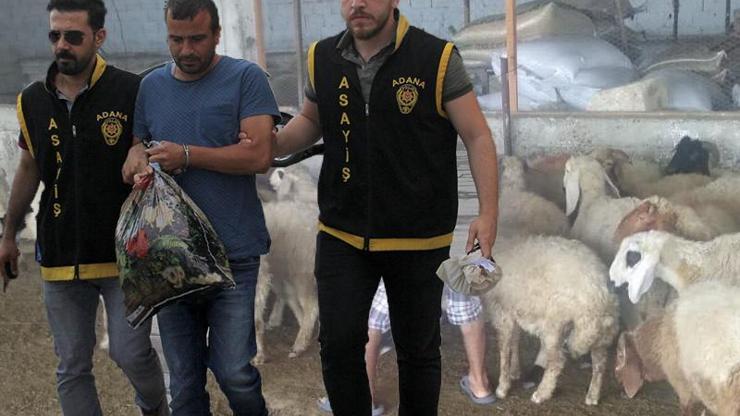 Serveti dudak uçuklatan dolandırıcının ifadeleri şaşırttı