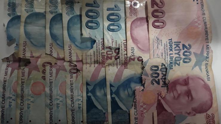 Evde sakladığı parayı fareler kemirdi