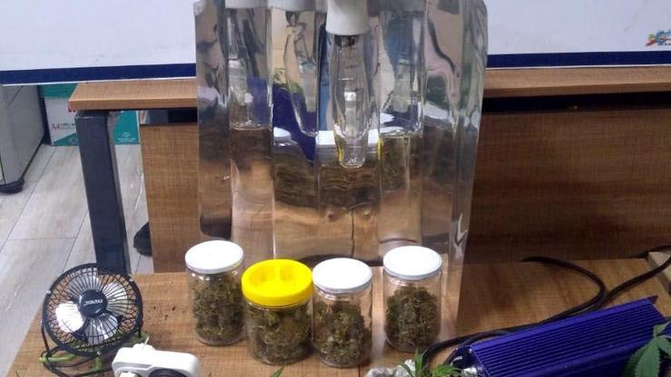 Boluda uyuşturucu operasyonu: 1 gözaltı