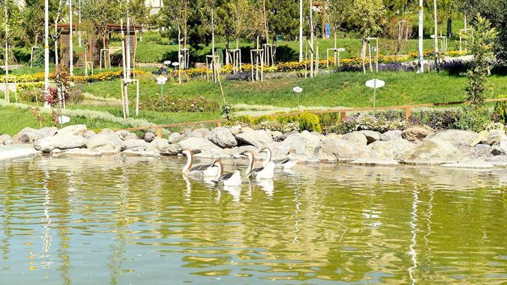 Malatya Hayvanat Bahçesinde sona gelindi