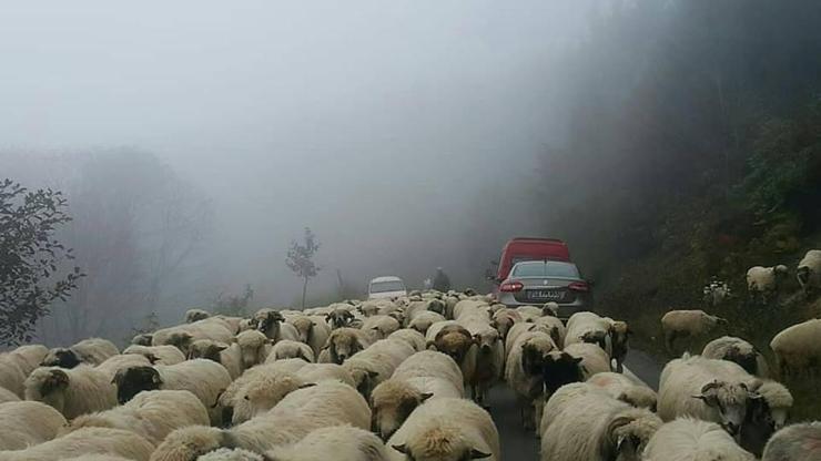 Yaylalardan dönüş başladı