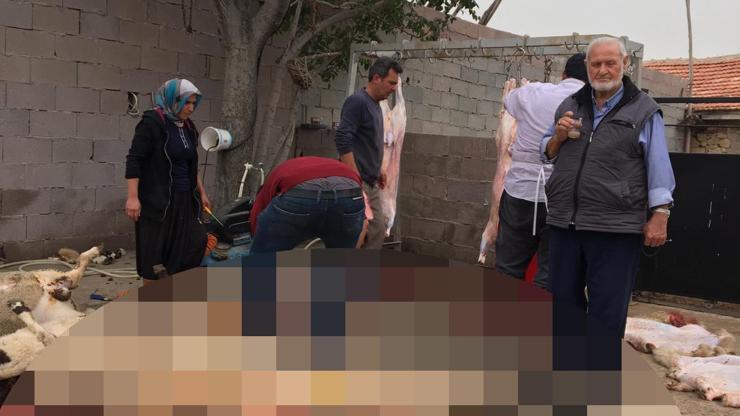 Cumhurbaşkanı için adağı 10 koyunu kesti