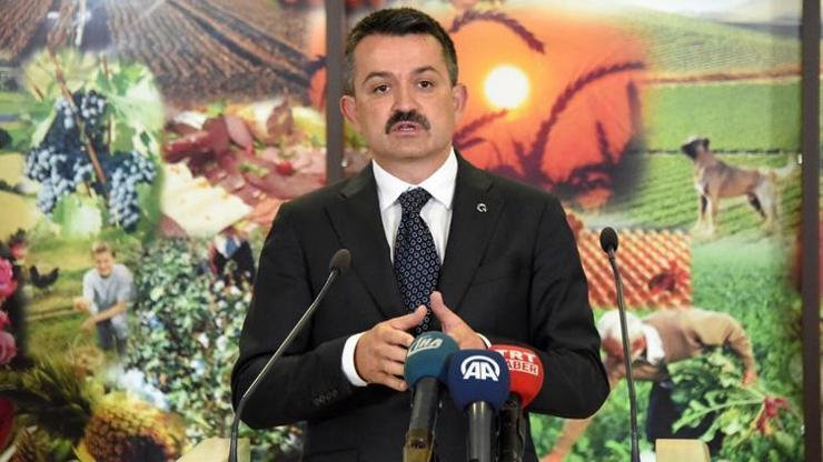 Lisanslı depolar için önemli destek açıklaması