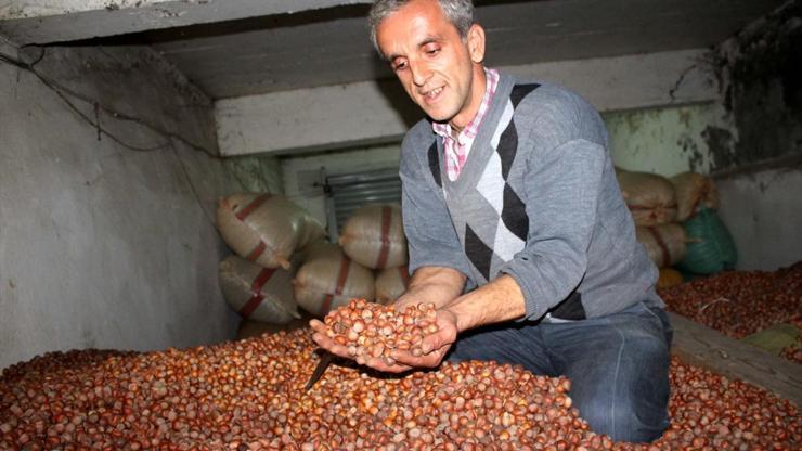 TMOnun kararı sonrası fındık fiyatları yükseldi