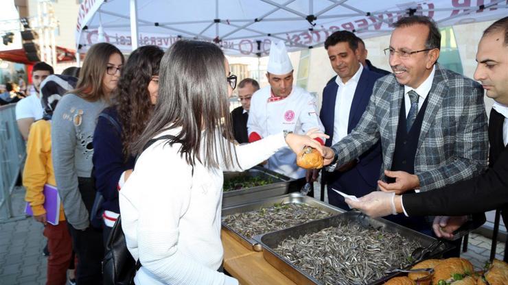 NEVÜ’de Mangalda Hamsi Şöleni