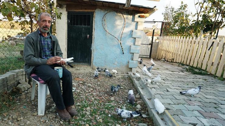 Tekstil işçisinin güvercin sevdası